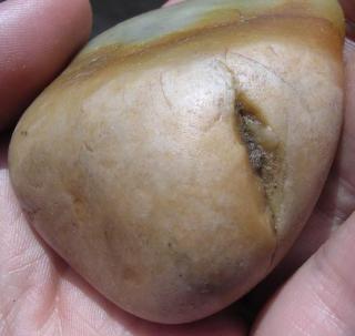 —171g新疆和田玉橘黄皮石包玉籽料